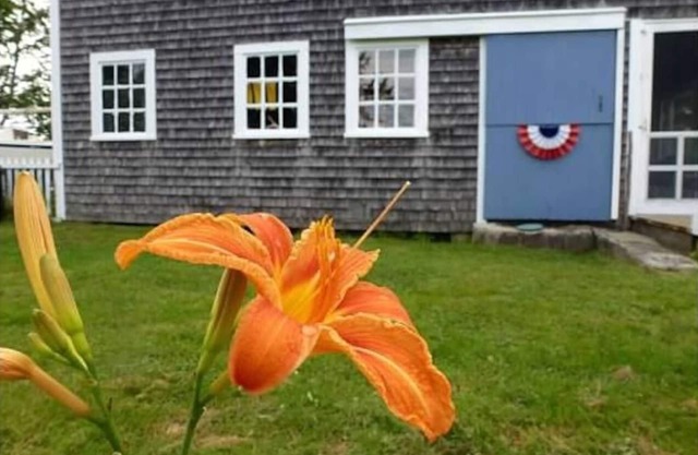 Coastal Barn, Acadia, Blue Hill, Animaux acceptés, Tapley Farms