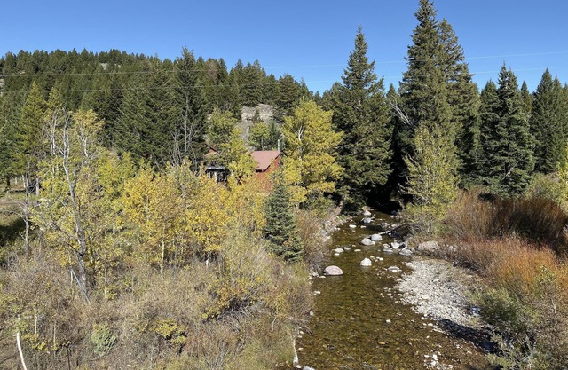 Targhee Creek Cabin par Yellowstone Park