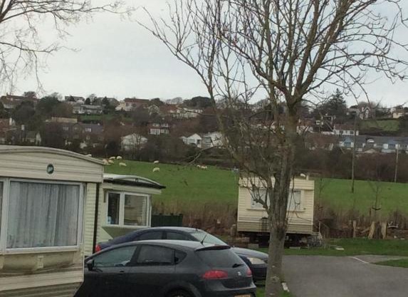Tarka holiday park, 5A