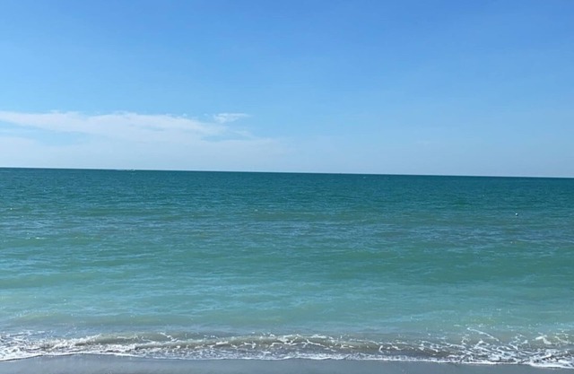 Tarpon Capital of the World! White sandy beaches within 10minutes. Sleeps 10-12
