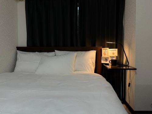 TD Link Ikebukuro 6min Newly Renovated APT 池袋6分钟全新装修