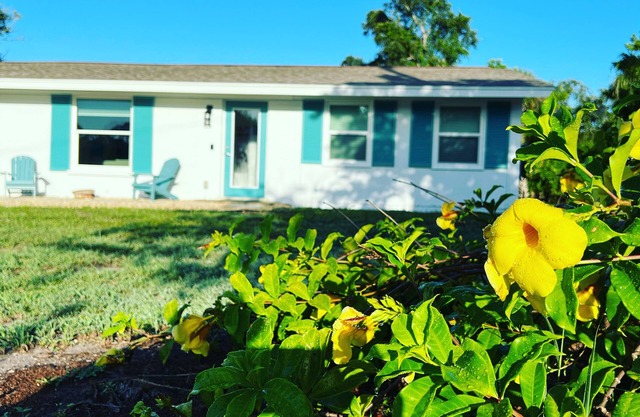 Teal Turtle House Englewood Shark Tooth Hunt