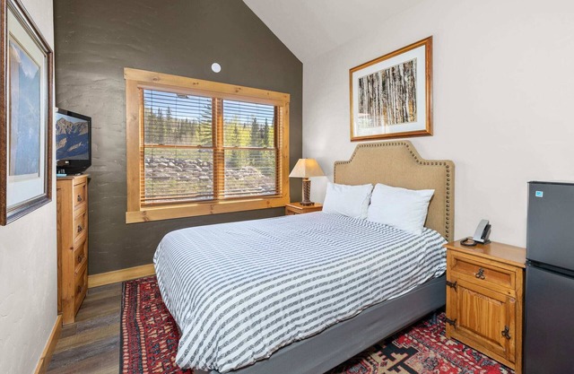 Telluride Mountain Lodge Skiin/Out amazingLocation