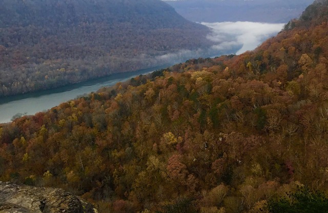 Grand Canyon du Tennessee! 10 min du centre-ville de Chattanooga!