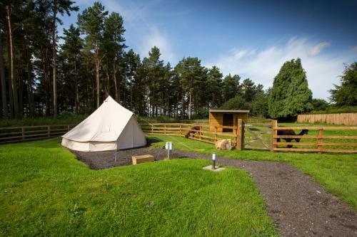 Tent 1