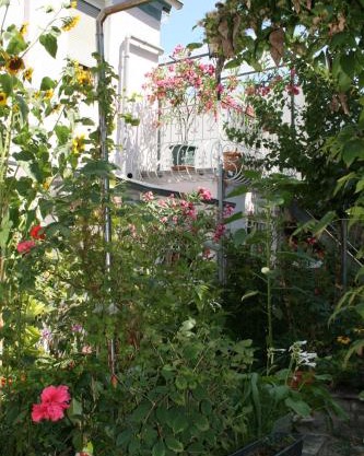 TerasenAppartement