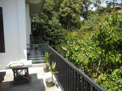 Terrace Homestay Besakih