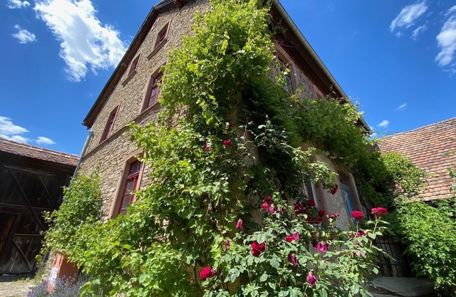 The 74 - Bel Etage