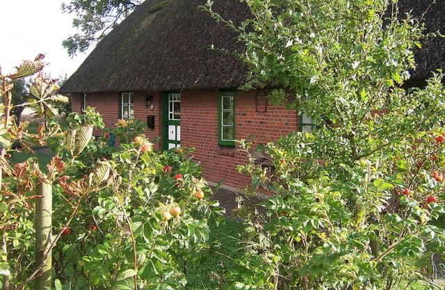 Maison au toit de chaume Kehl