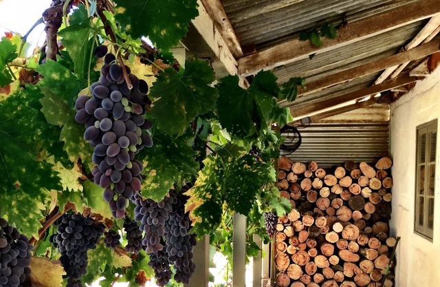 La grange, Barossa Valley
