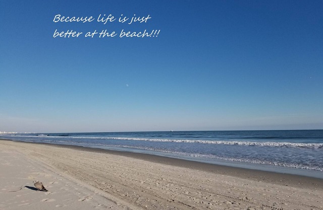 Qui va à la plage en automne et en hiver ??? Nous le faisons et vous devez donc !!!!