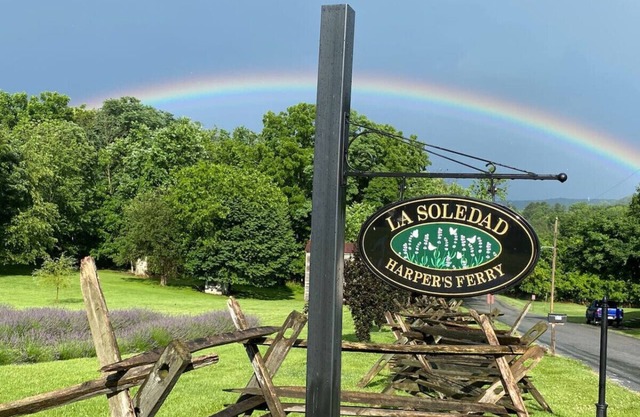 The Bears Den at La Soledad