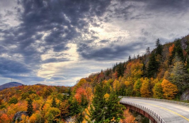 The Bent Branch Lodge - A Gnomes Retreat – Historic Virginia Log Cabin, Coy Pond & Babbling B...