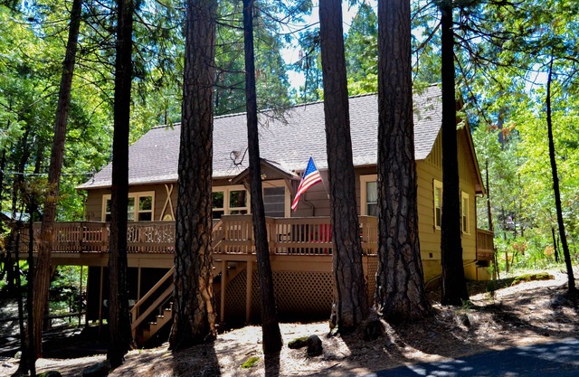 The Bigfoot Lodge - cabine confortable, CLEAN mise à jour - 5 min. marcher en ville.