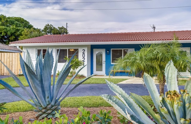 The Blue Agave of South Florida