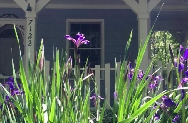 The Blue Cottage Rental - l'escapade parfaite en montagne