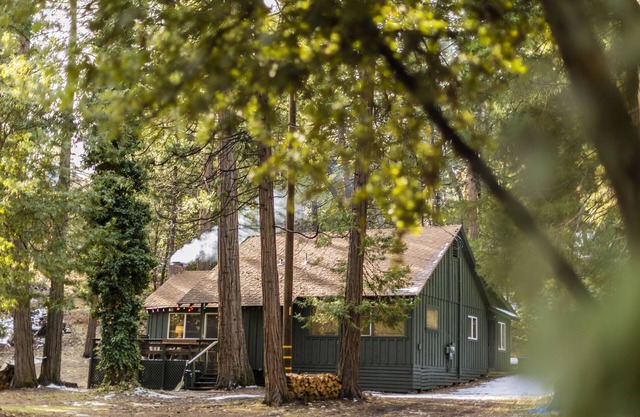 The Bunkhouse 1960's Camp Vibe + Timeless Wet Bar