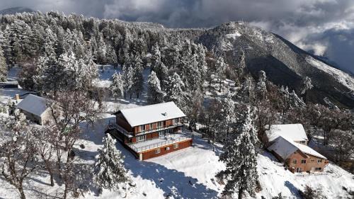 THE Cabin