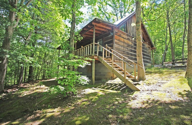 Les cabines à Copperhill - Cabine n ° 4