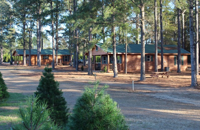 Location de cabanes en rondins à la ferme de sapins de Noël Fish River