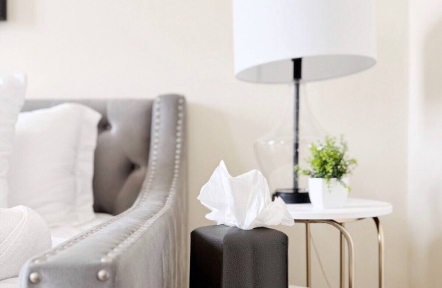 The Cardinal 810 D -3BR-1BA Apt
