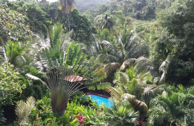 Le bungalow " Caraïbes "