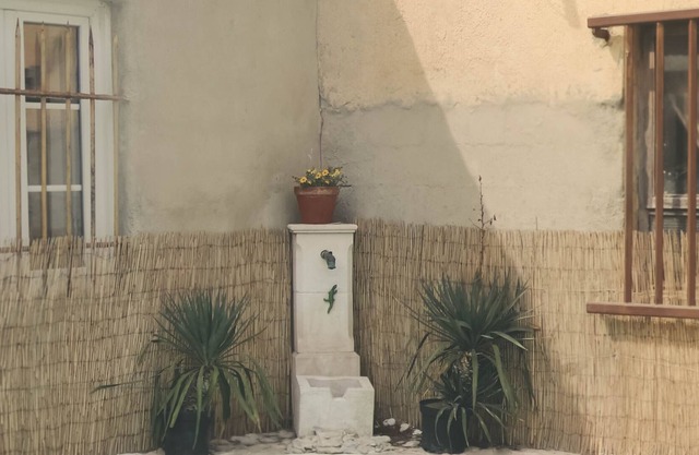 La Mésange et le Pissenlit