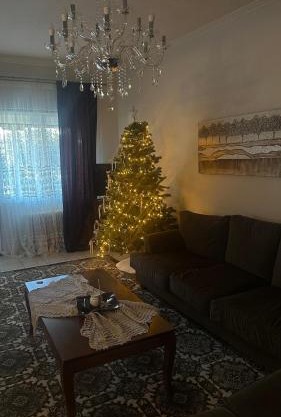 The classic house