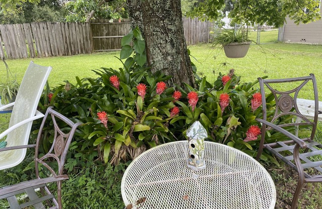 The Compass Cottage: A Cheerful 1 Bed / 1 Bath