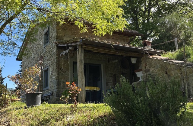 The cottage in the woods