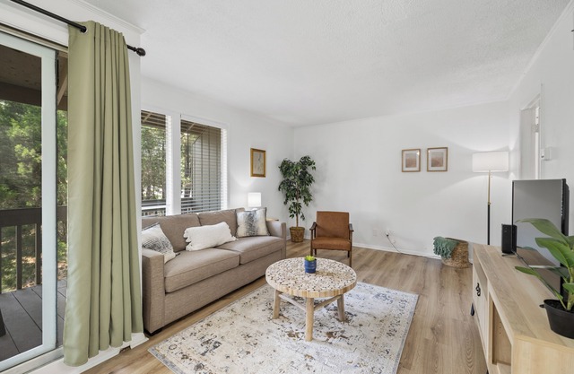 The Cozy Condo