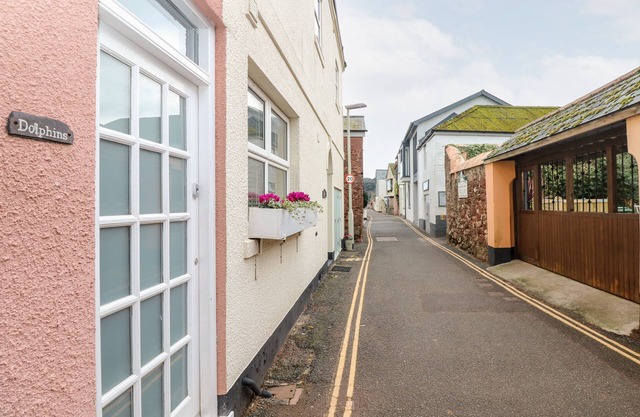 Les dauphins, SHALDON