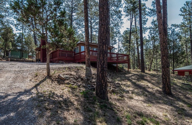 The Elk Meadow Cozy Cabin
