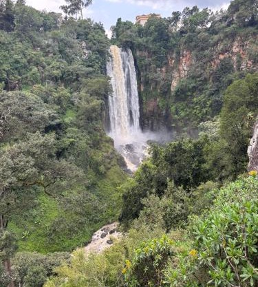 The falls hippo point