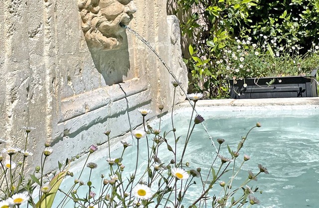 Le Petit Chateau, piscine privée, grands jardins fermés