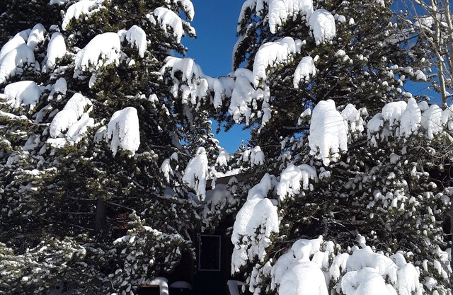 The Firehole Cabin 418, 6 Bedrooms 4 Baths 2 Minutes from Yellowstone
