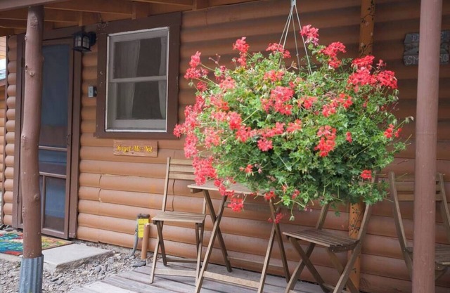 Forget-Me-Not Cabin with Mountain Views
