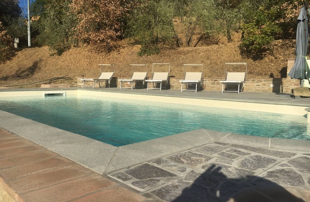 Le jardin des olives