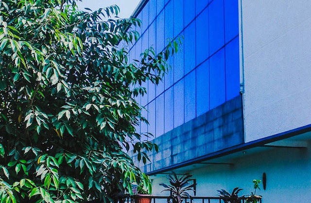The Glass Residence