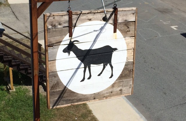 Le stylo de chèvre! Le meilleur Hampton Beach a à offrir dans une grange !!!