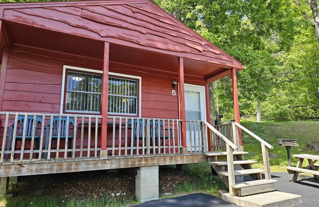 La cabine Gold Eagle 5