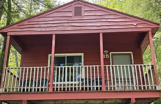 La cabine Gold Eagle 15