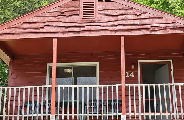 La cabine Gold Eagle 14