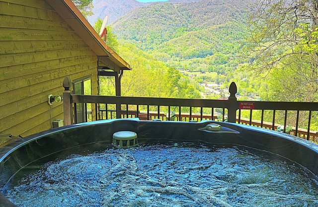 Le "Hawks Nest" offre les meilleures vues dans la vallée