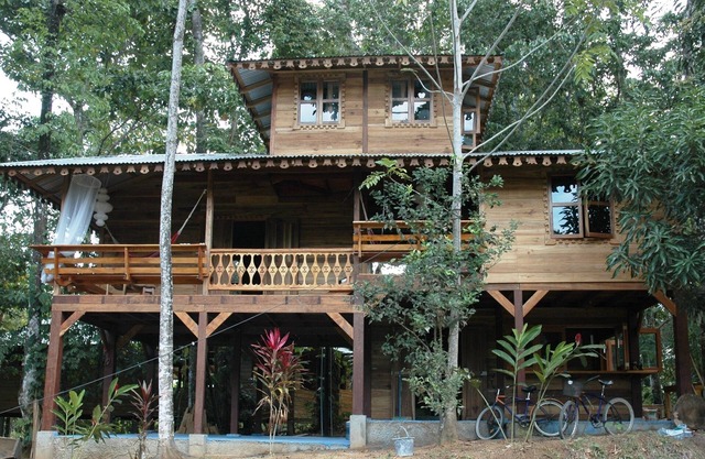 La maison est au milieu de la jungle, mais aussi 5 minutes à pied de la plage