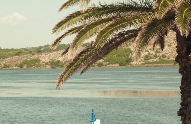 La maison au bord de l'etang
