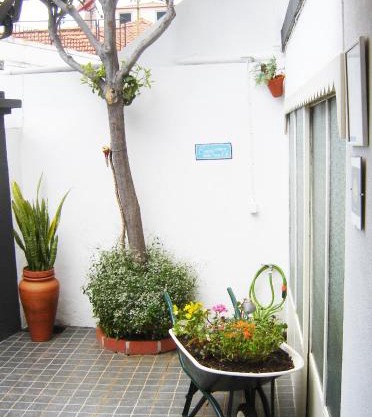 The House