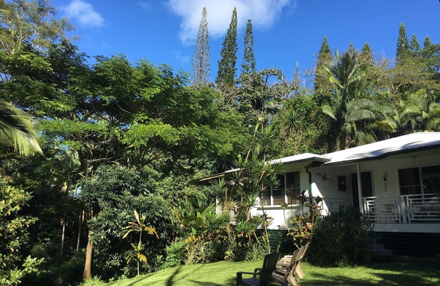 LA JUNGLE FARMHOUSE - Venez voir le parc national des volcans