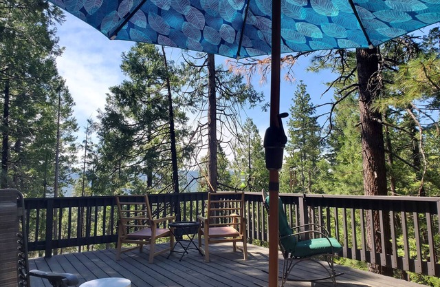 The Knotty Pine! Minutes to DODGE RIDGE SKI RESORT!
