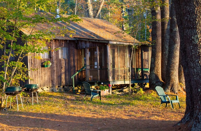 La cabane au bord du lac, à quelques pas du lac, avec quai et véranda grillagée